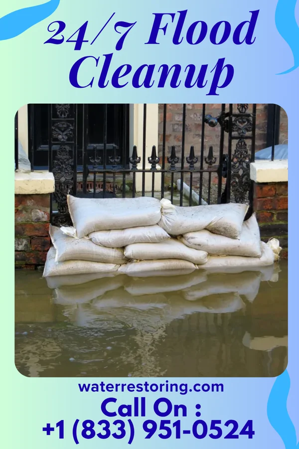 24/7 Flood Cleanup in Mount Bullion, CA