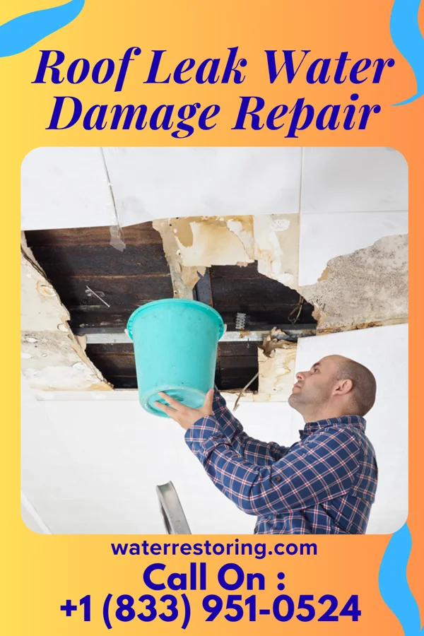 Roof Leak Water Damage Repair in Mount Bullion, CA